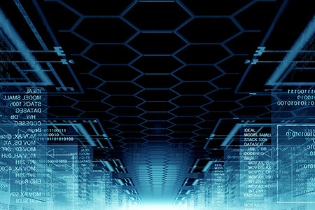 AhP-Software Customization